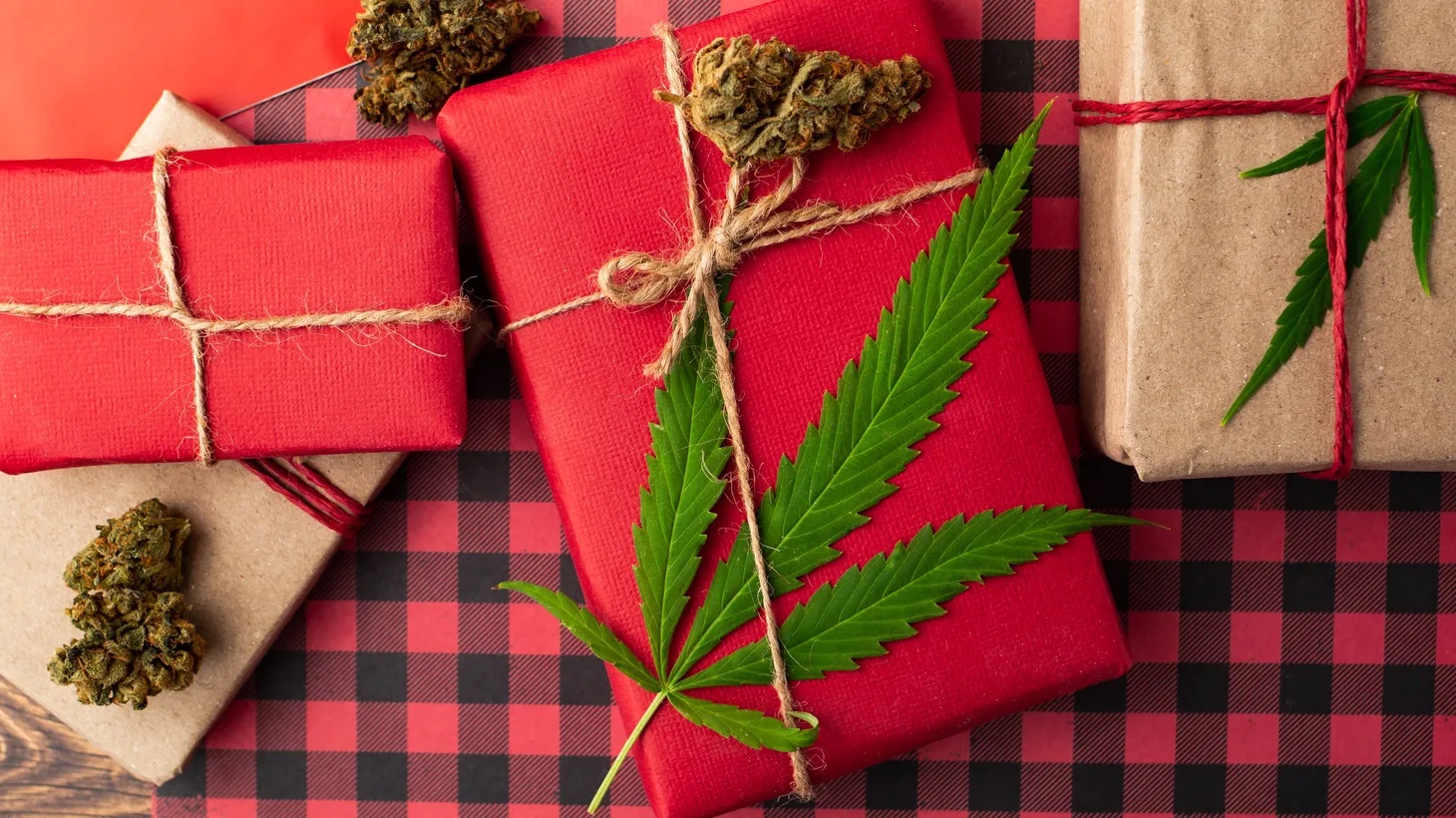Hammonton cannabis dispensary
